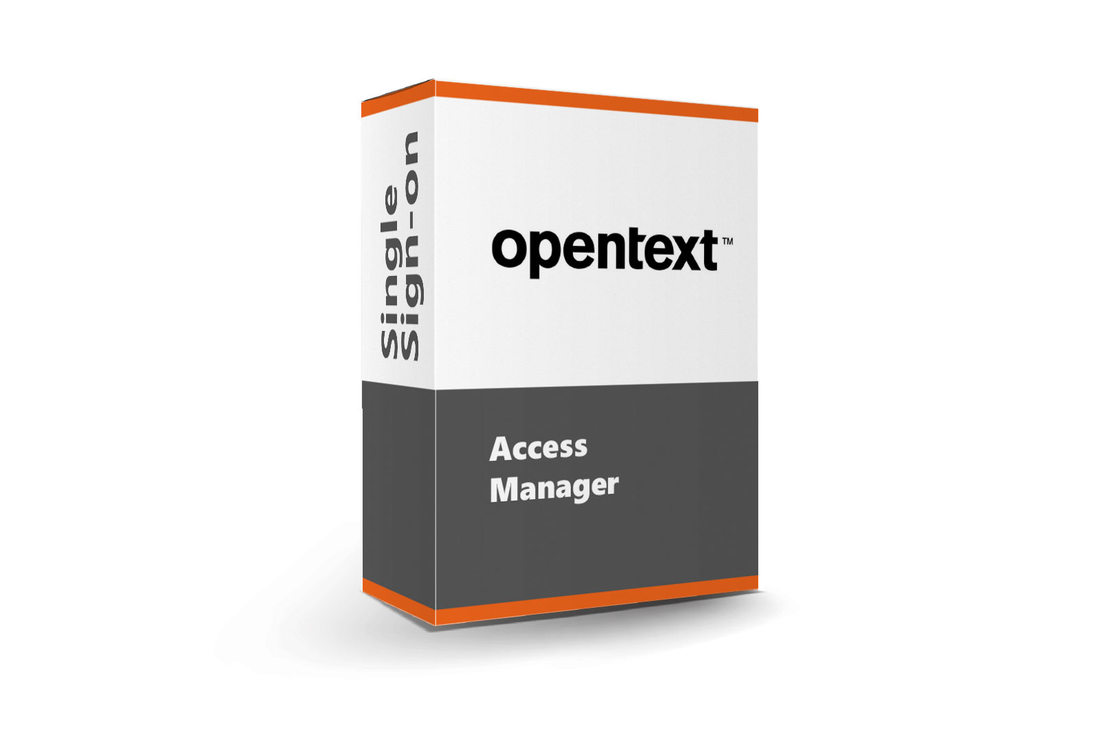 Access Manager